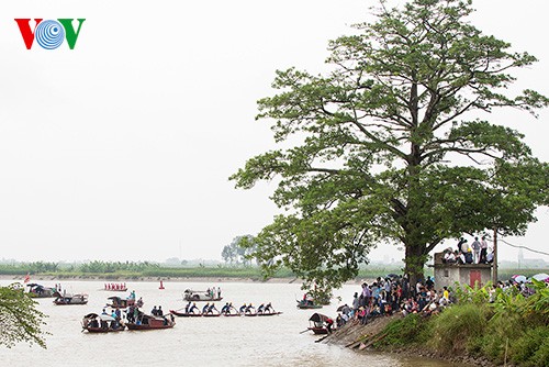 Competencia de embarcaciones de remo en  Nam Dinh  - ảnh 6