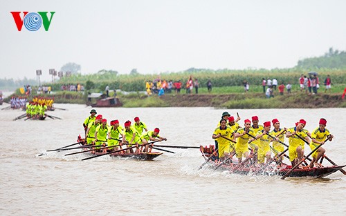 Competencia de embarcaciones de remo en  Nam Dinh  - ảnh 7
