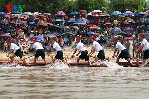Competencia de embarcaciones de remo en  Nam Dinh  - ảnh 10