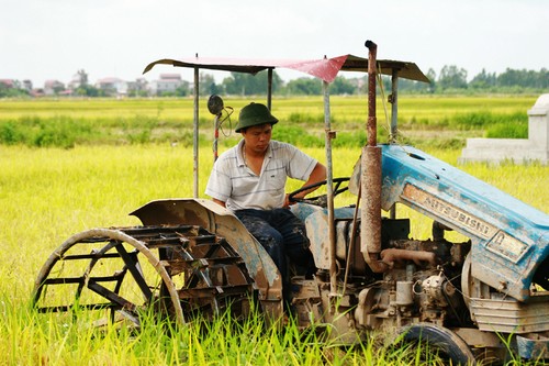 Maximiza Vietnam potencialidades para desarrollo socioeconómico - ảnh 1