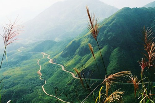 Trayecto en pos de conquistar la cima más alta de Vietnam - ảnh 1