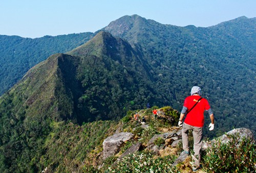 Trayecto en pos de conquistar la cima más alta de Vietnam - ảnh 2