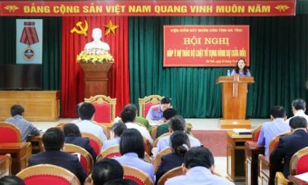 Recopila Vietnam opiniones públicas para enmendar el Código Civil  - ảnh 1