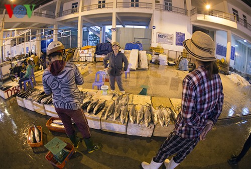 El puerto pesquero Tho Quang en nueva primavera - ảnh 6