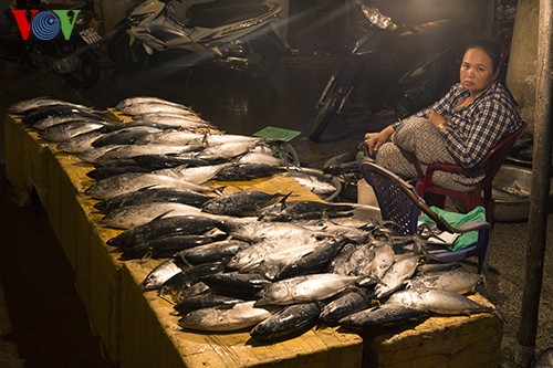 El puerto pesquero Tho Quang en nueva primavera - ảnh 7