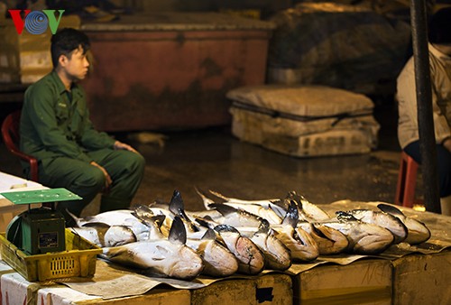 El puerto pesquero Tho Quang en nueva primavera - ảnh 9