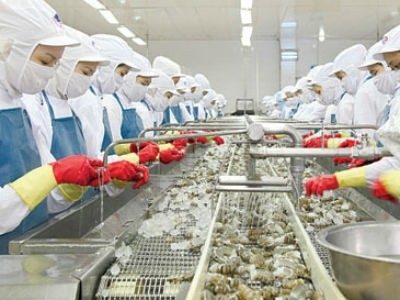 Disminuyen impuesto antidumping para camarones exportados por Vietnam - ảnh 1