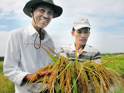Mejora Vietnam productividad laboral para integración económica internacional - ảnh 1