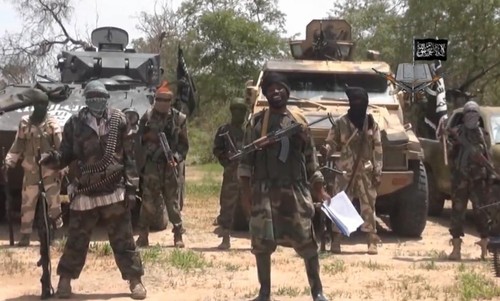 Preocupa a Vietnam acciones terroristas del grupo Boko Haram - ảnh 1