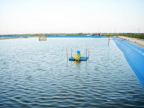 Protección del agua para el desarrollo agrícola sostenible - ảnh 1