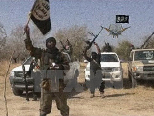 Debatirán mandatarios africanos riesgos de Boko Haram - ảnh 1
