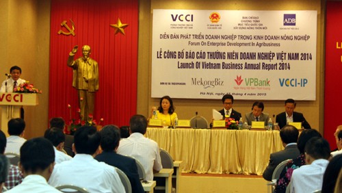 Publican informe anual sobre las empresas de Vietnam 2014  - ảnh 1