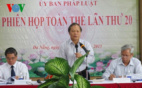A consulta popular en Vietnam enmienda del Código Civil  - ảnh 1
