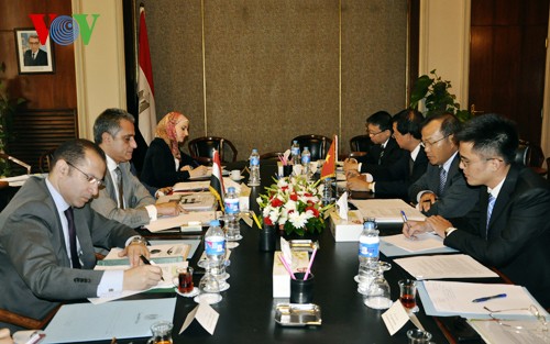 Priorizan Vietnam y Egipto cooperación económica - ảnh 1