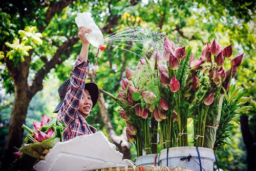 Temporada de flores de loto en Hanoi - ảnh 10