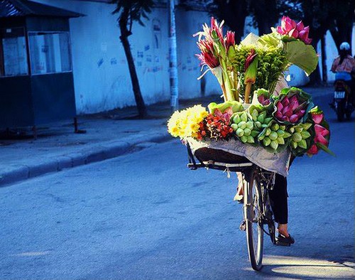 Temporada de flores de loto en Hanoi - ảnh 9
