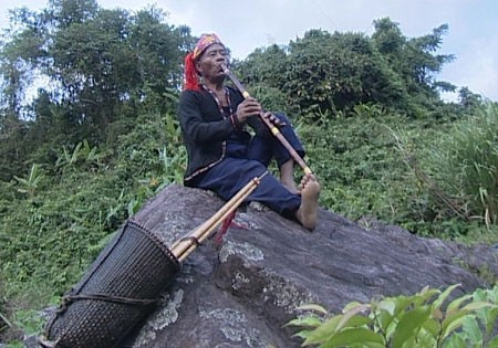 Seductor sonido de flauta de étnicos en Truong Son - ảnh 1