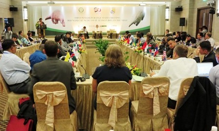Vietnam acoge por primera vez reunión internacional sobre pangolines  - ảnh 1