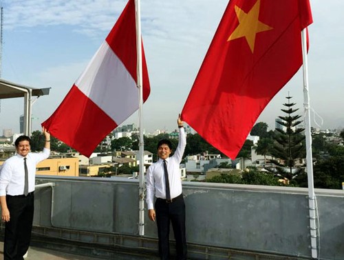 Comercio, sector de cooperación potencial entre Vietnam y Perú - ảnh 3