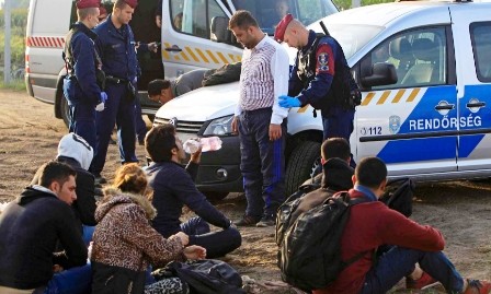 Hungría aplica medidas contundentes contra refugiados en la frontera con Serbia  - ảnh 1