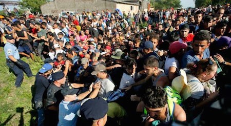 Crisis migratoria en Europa: Croacia cierra 7 puertas fronterizas con Serbia  - ảnh 1