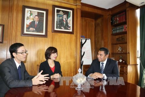 Vietnam y México promueven relaciones de cooperación entre localidades   - ảnh 1