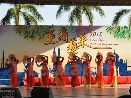 Vietnam en programa de intercambio cultural “El color artístico de Asia 2015” - ảnh 1