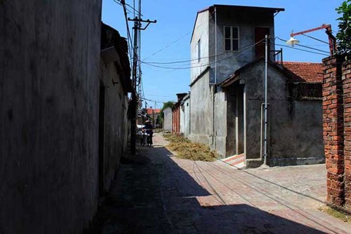 La aldea antigua de Duong Lam en otoño - ảnh 11