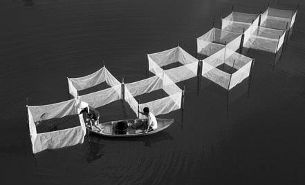 El arte de la fotografía en el delta del río Mekong - ảnh 3