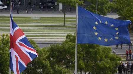 Mayoría de británicos quieren salir de la UE tras ataques de París - ảnh 1