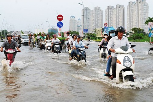 Asiste Francia a Vietnam en enfrentamiento al cambio climático    - ảnh 1