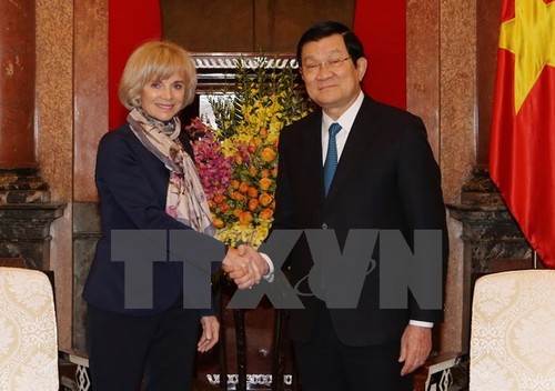 Francia apoya a Vietnam en asuntos relativos al Mar del Este  - ảnh 1