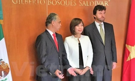 Cámara de Diputados de México espera estrechar relaciones con Vietnam - ảnh 1