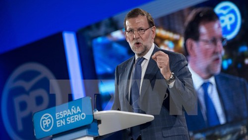 Mariano Rajoy propone negociaciones para formación de gobierno de coalición  - ảnh 1