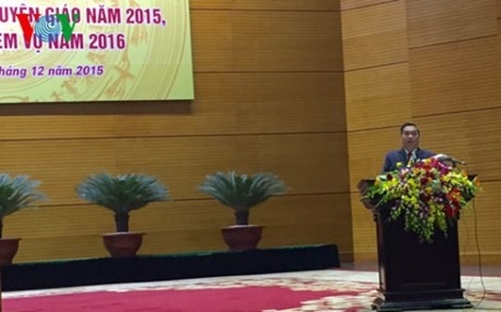 2015: un año de éxito de diplomacia popular de Vietnam - ảnh 1