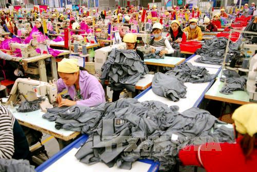 La economía vietnamita crecerá un 10% antes de 2030 gracias al TPP - ảnh 1