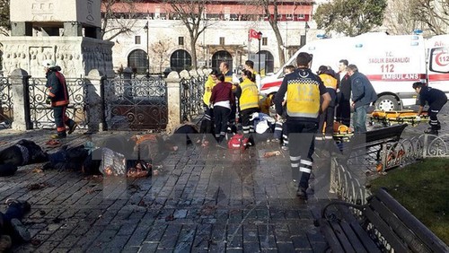 Comunidad nacional condena ataque suicida en Estambul - ảnh 1