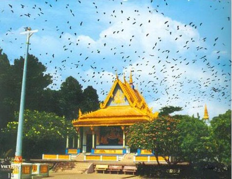Originales pagodas jemer en las provincias meridionales de Vietnam - ảnh 1