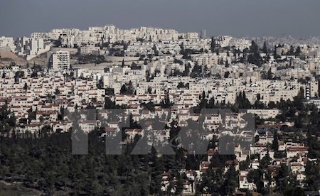 Palestina llama a poner fin a los asentamientos israelíes - ảnh 1