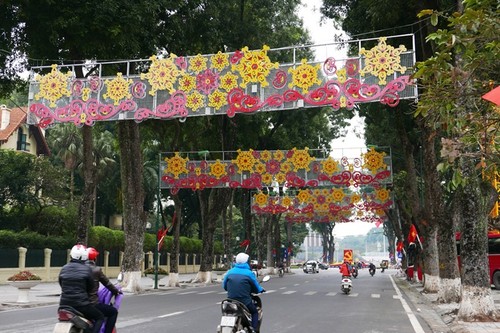 Hanoi recibe el Tet con flores y luces brillantes  - ảnh 5