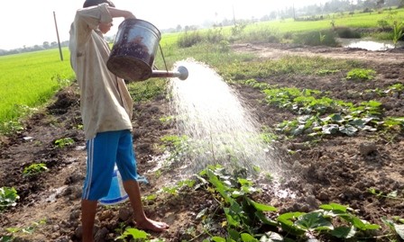 Vietnam efectuará un mitin nacional en saludo al Día Mundial del Agua - ảnh 1