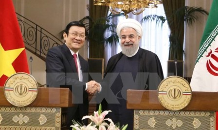Gira del presidente Truong Tan Sang: nuevos hitos en relaciones Vietnam-Tanzania, Mozambique e Irán - ảnh 1