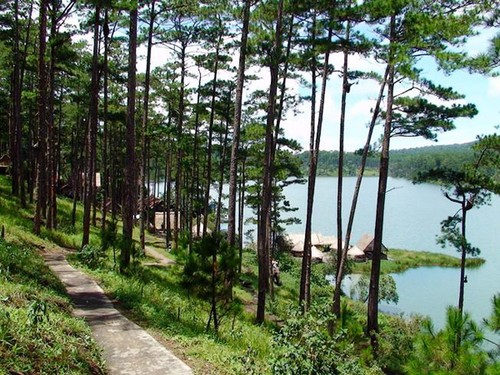 Descubramos el conjunto ecoturístico lago Tuyen Lam – montaña Da Tien en Da Lat - ảnh 4