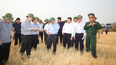 Orienta vicepremier vietnamita medidas para enfrentar sequía en Meseta Occidental - ảnh 1