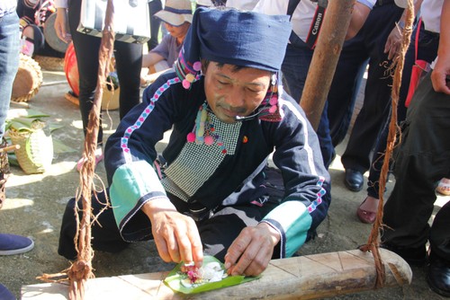 Los Ha Nhi en la comunidad étnica de Vietnam - ảnh 1