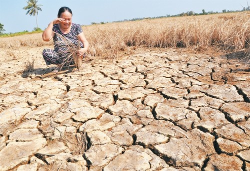 En el Delta del Mekong se esfuerzan por ahorrar agua - ảnh 1
