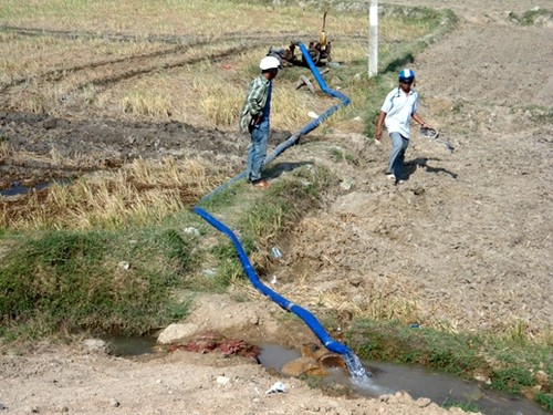 Comprometidas organizaciones internacionales en ayudar a Vietnam a superar la sequía y salinización - ảnh 1