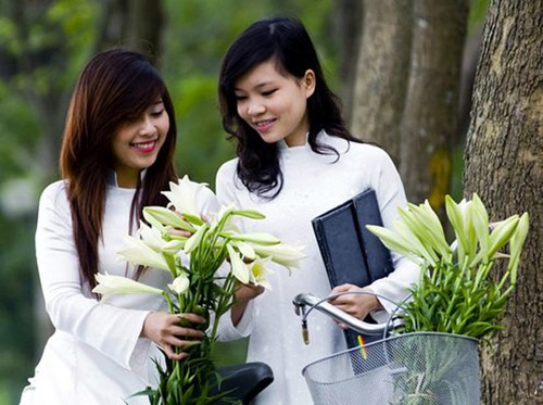 Azucena blanca, la reina de las flores de Hanoi en abril - ảnh 8