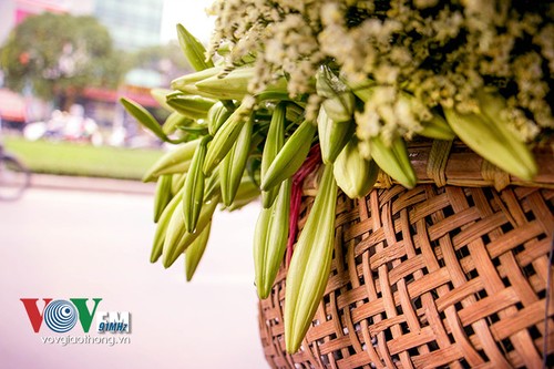 Azucena blanca, la reina de las flores de Hanoi en abril - ảnh 4