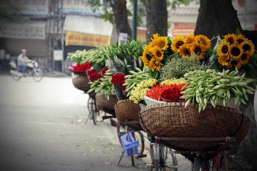 Azucena blanca, la reina de las flores de Hanoi en abril - ảnh 7